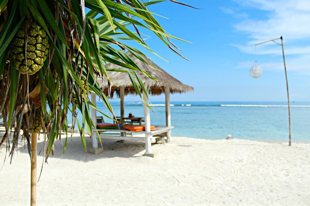 Bhuvana With Private Swimming Pool * Gili Trawangan